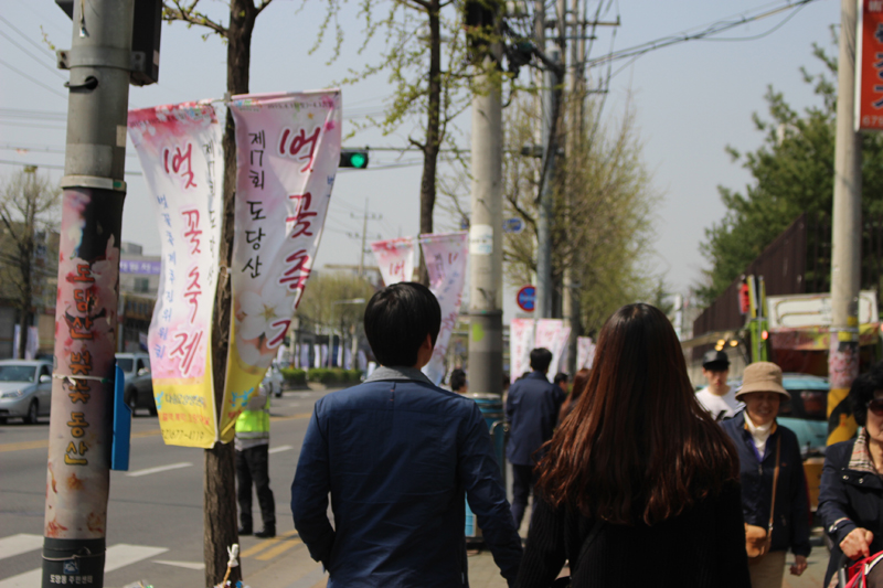 길거리마다 걸려 있는 도당산 벚꽃축제 깃발들