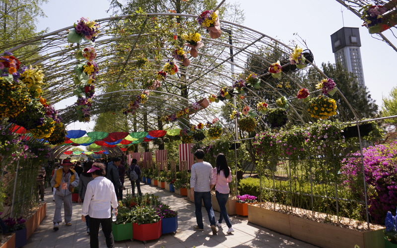 뭉게구름정원에서 꽃다발로 장식된 꽃 터널 사이로 지나다니는 관람객들.