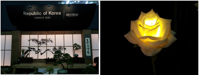 세계화훼교류관에 있는 대한민국 정원(왼쪽)과 조명을 비춰 꾸민 장미꽃(오른쪽)