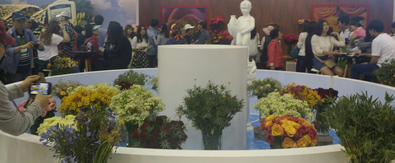 전 세계 꽃들의 축제, 2015 고양국제꽃박람회 이미지