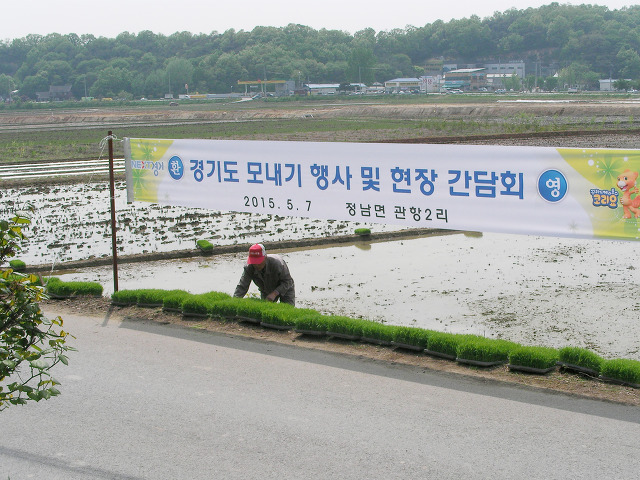 2015년 경기도 첫 모내기, 화성 특산물 - 화성 쌀 생산 현장! 이미지