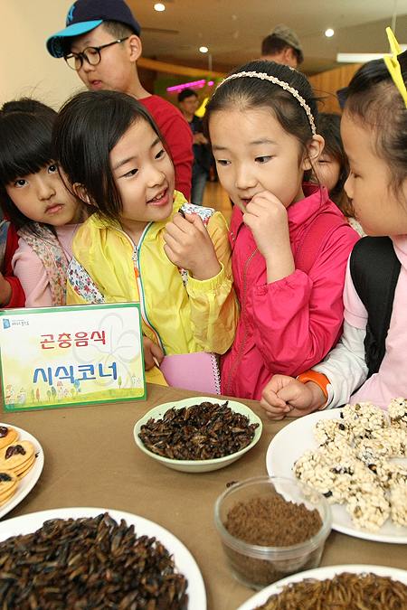 어린이들이 곤충을 재료로 만든 쿠키, 양갱, 볶음 등 다양한 요리를 시식하고 있다. 