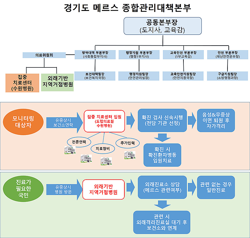 ‘메르스 치료 민관 네트워크 진료 프로세스’.