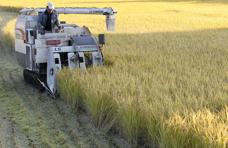 경기도는 가뭄으로 인한 모내기 지연과 농번기로 일손이 바쁜 상황을 감안해 쌀·밭 직불금 신청기한을 오는 7월 10일까지 연장한다.