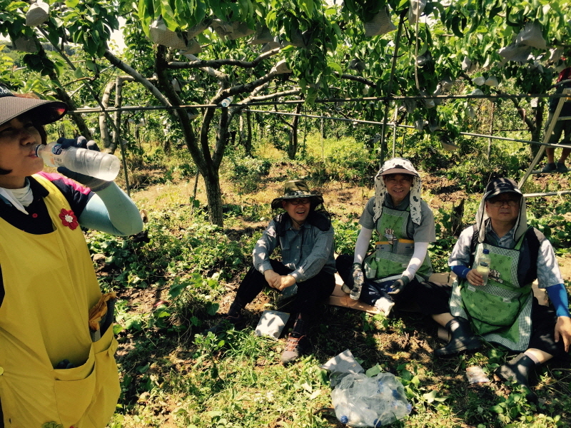 작업을 끝낸 경기도농업기술원 봉사자들이 나무 그늘에 앉아 다 녹아버린 얼음물을 마시고 있다.