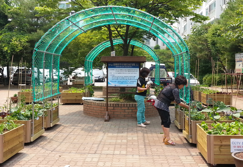 경기도농업기술원은 2일 안산 단원구 호수마을풍림아파트에서 전문가 및 지역주민 등 30여 명이 참석한 가운데 ’마을공동체 활성화 도시농업연구’ 현장 중간평가회를 가졌다.