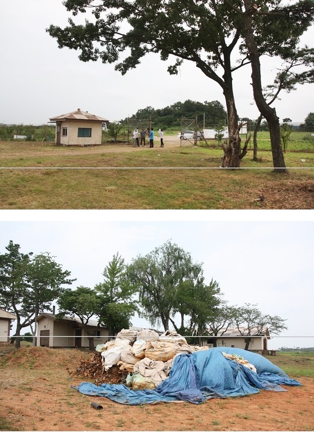 전쟁의 아픔을 예술로 승화하다! 화성 매향리 평화예술제