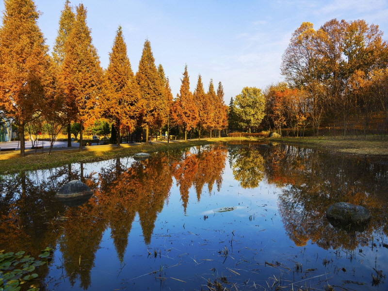 오산 물향기 수목원