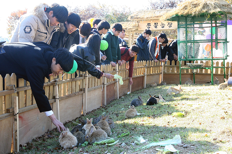 관광객들이 토끼, 닭, 개, 염소, 돼지 등 다양한 동물이 모여있는 ‘동물농장’에서 동물체험을 하고 있다.