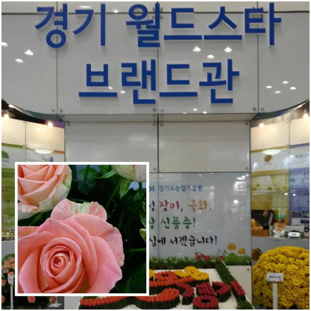 경기도농업기술원에서 신품종 개발 중인 식물들을 소개하고 있다.