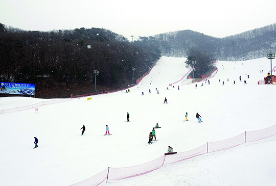 설원 속 쾌감질주 양지파인스키밸리