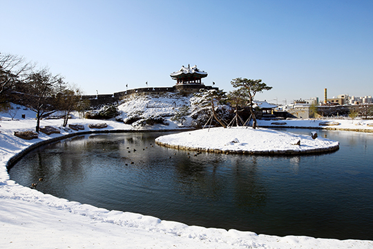 [TRAVEL] 설날, 더 풍성하게 즐겁게 이미지