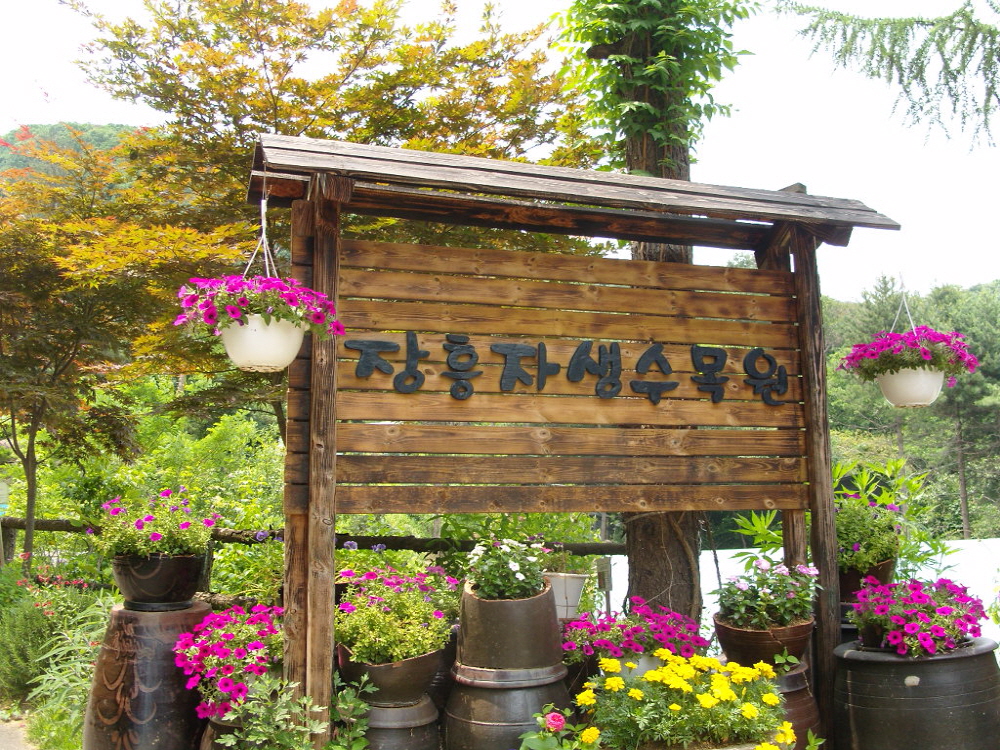 가정의 달, 수목원으로 봄 소풍 떠나요~ : : 경기도뉴스포털 가정의 달, 수목원으로 봄 소풍 떠나요~