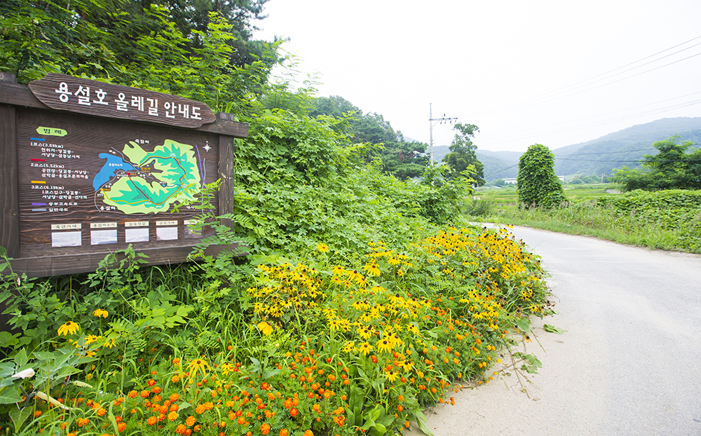 용설호수에 가면 별빛이 내린다~ : 사회 : 경기도뉴스포털 용설호수에 가면 별빛이 내린다~