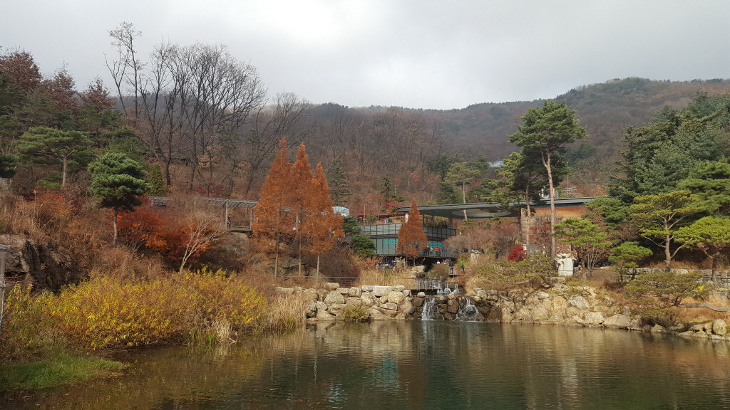원앙연못에서 바라본 화담숲 전경
