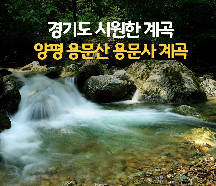 경기도 시원한 계곡 양평 용문산 용문사 계곡