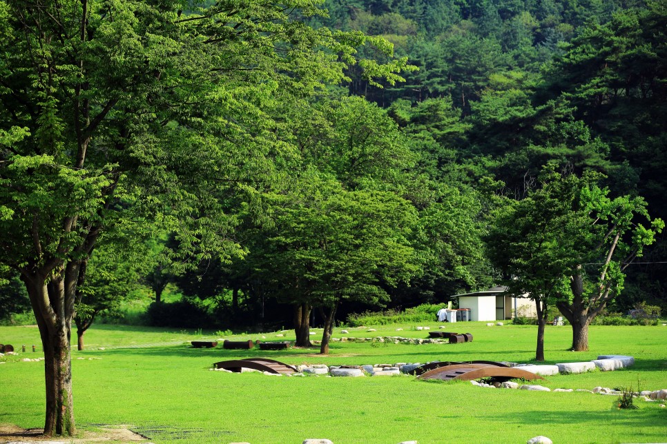 경기도 시원한 계곡 양평 용문산 용문사 계곡