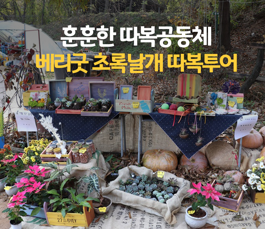 굿스토리투어 이미지