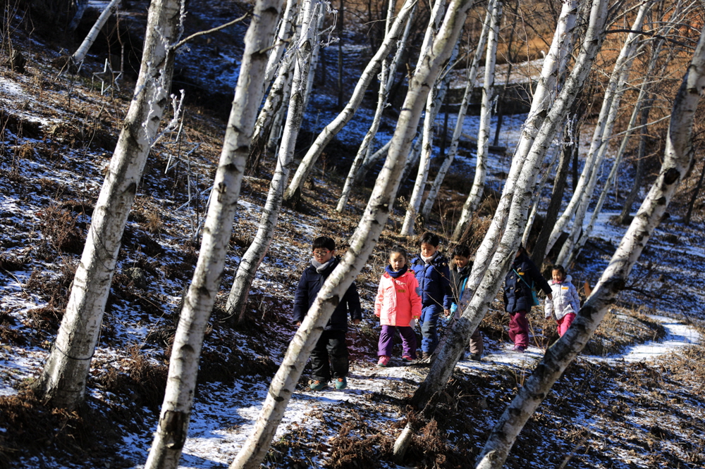 눈 쌓인 겨울에 더 아름다운 자작나무숲을 천천히 걸으면 긴장이 풀리고 마음에 평화가 찾아온다.