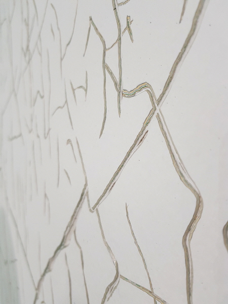 클레르 콜랭-콜랭 작가의 이름 없는 작품은 오래된 유화의 갈라진 틈에서 영감을 얻어 벽면에 균열을 냈다.