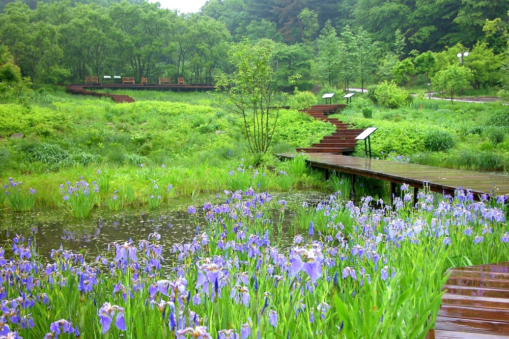 포천 ‘평강식물원’은 아시아 최대 규모인 1800여 평의 암석원과 50여개의 수련들을 모아 놓은 연못정원, 사철 늘 푸른 잔디광장 등 12개의 테마로 조성되어 있다.