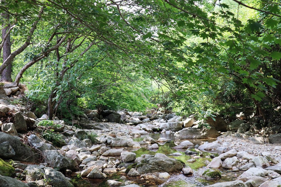 양평 중원산 `중원산계곡, 중원산폭포`