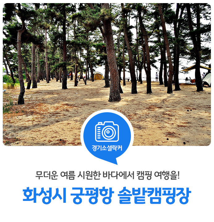 무더운 여름 시원한 바다에서 캠핑 여행을! 화성시 궁평항 솔밭캠핑장