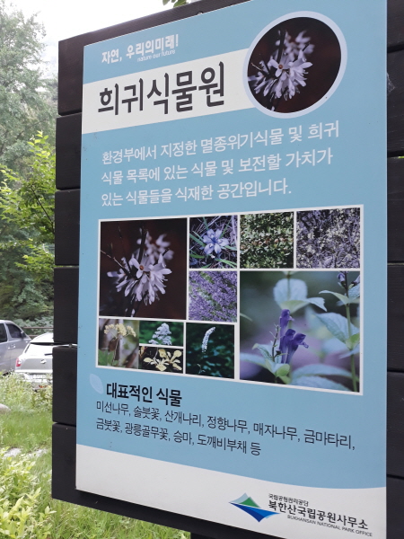북한산에는 멸종위기 식물들이 있다.