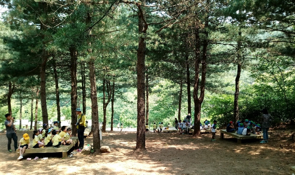 동두천 소요산역에서 500m 거리에 위치한 소요산 산림욕장은 울창한 아름드리나무 사이로 편안하게 산책을 즐길 수 있는 숲, 습지원, 화훼원, 잔디광장, 조각원, 미니동물원 등이 조성돼 있다. 동두천시 소요산 산림욕장.