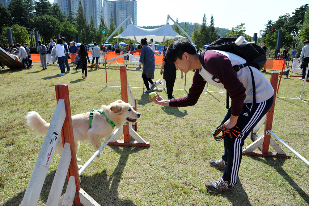 성남시는 10월 3일 오전 10시~오후 6시 시청 광장에서 ‘반려동물 페스티벌’을 연다.