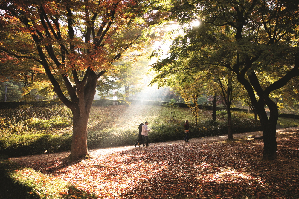 남양성모성지는 천주교 신도가 아니더라도 소풍 삼아 따스한 햇살 속 아름다운 가을풍경을 즐길 수 있어 좋다.