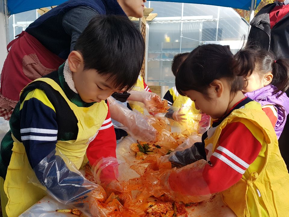 경기농식품유통진흥원은 지난 9일 광교 교육텃밭에서 20개 어린이집 400여명 어린이들이 참여한 가운데 ‘함께 나누는 김장행사’를 개최했다.