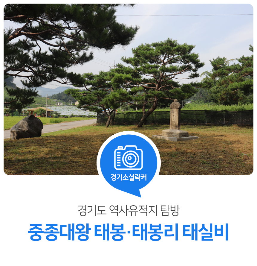 경기도 역사유적지 탐방! 중종대왕 태봉과 태봉리 태실비