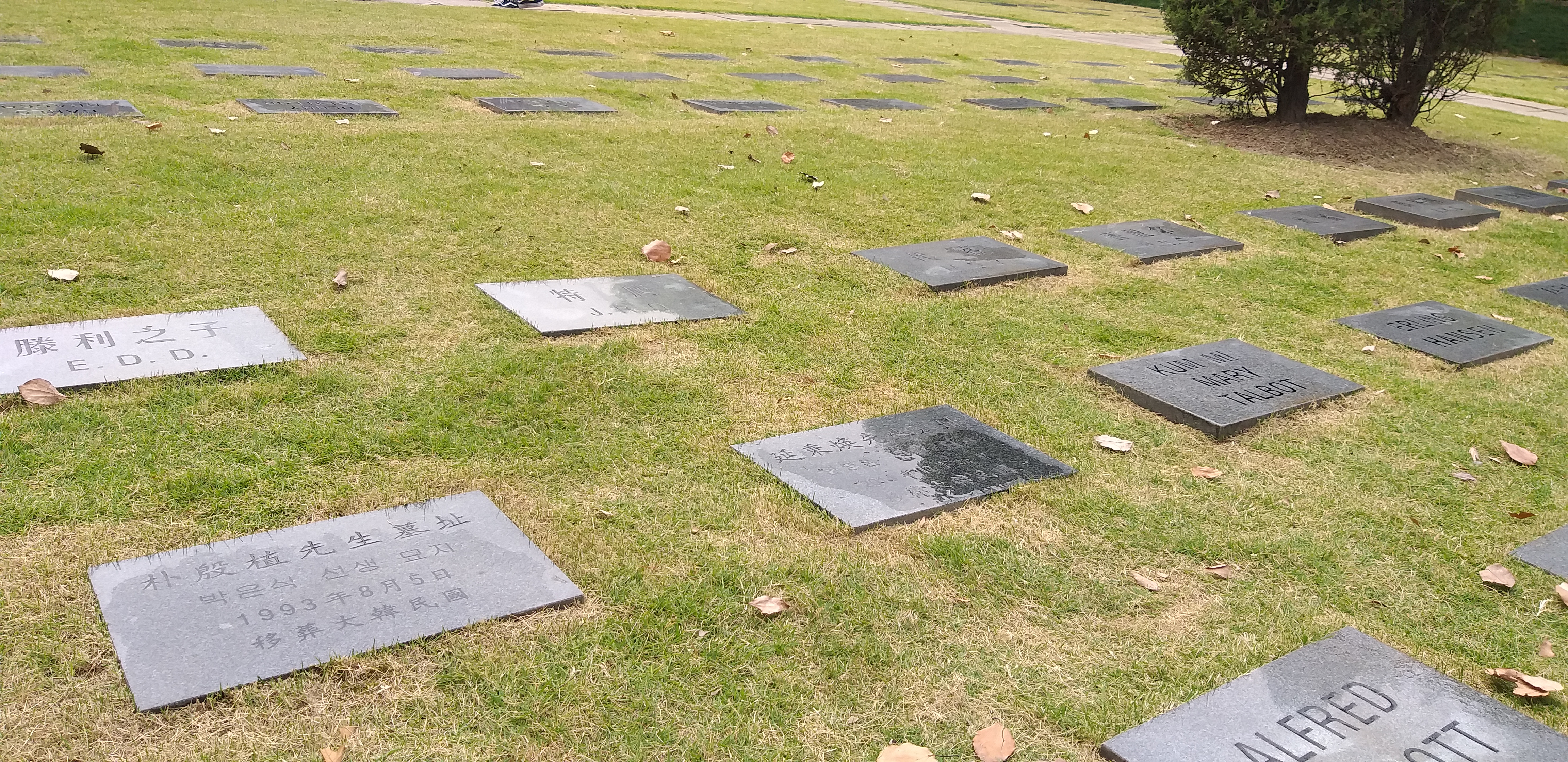  박은식 선생님의 묘지.