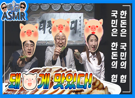 한돈은 국민의 힘! 국민은 한돈의 힘![태평꿀성대 시즌2 - 37화] 박&규의 ASMR