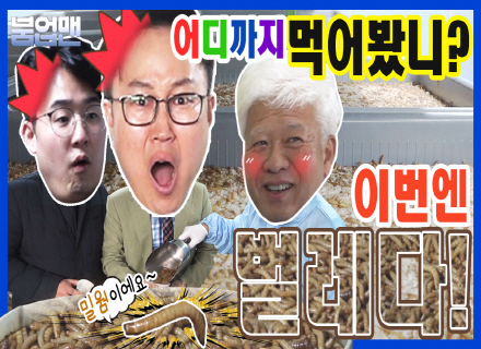어디까지 먹어봤니? 이번엔 벌레다! // 붐업맨 EP.4