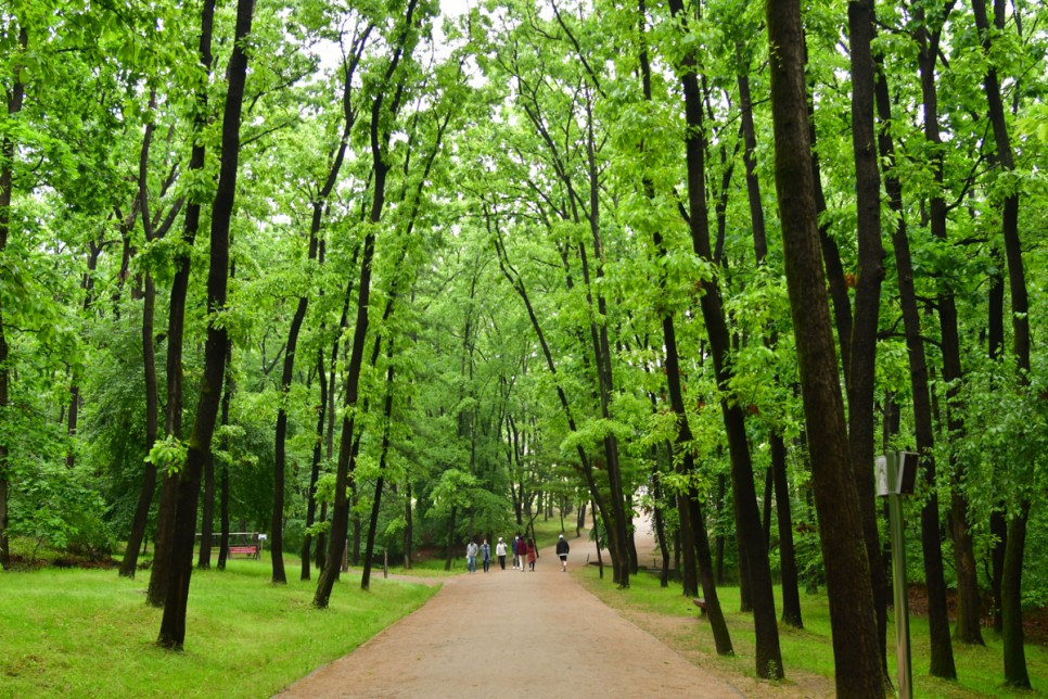 가정의 달 5월! 역사와 함께 걷는 융건릉. 정조의 효심을 따라 걷는 한적한 숲길 여행