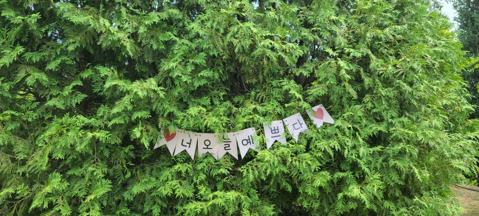 싱그러운 여름날! 자연을 벗 삼아 거닐다. 경기도 광주 율봄식물원