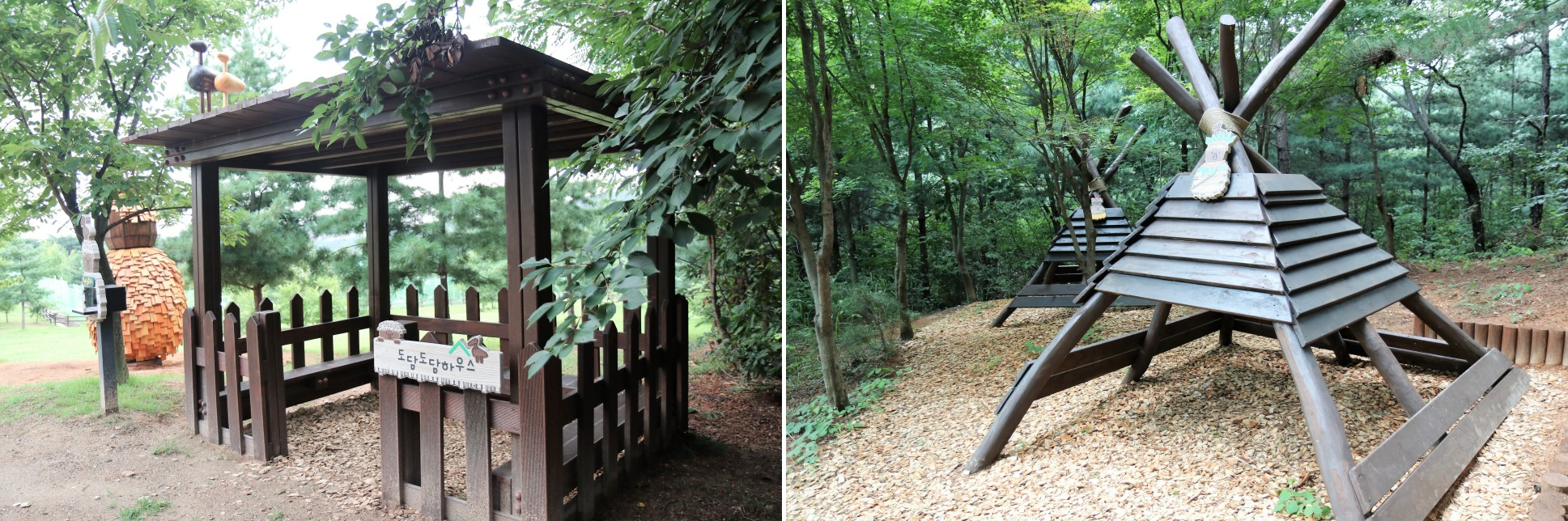 오감으로 자연과 교감하는 숲속 놀이터! 광교 유아숲 체험원