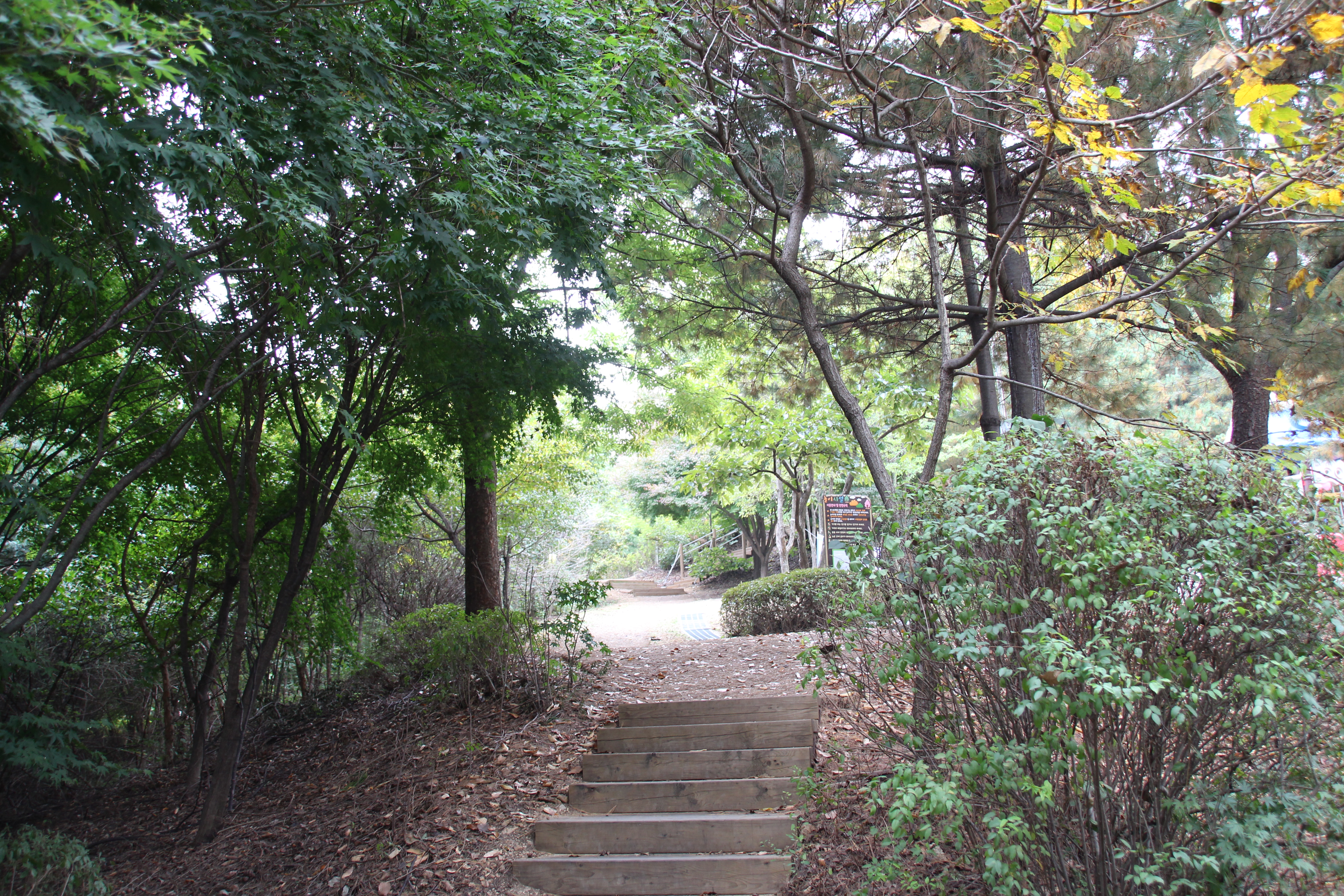  경기도 부천시에 위치한 산새공원의 모습 