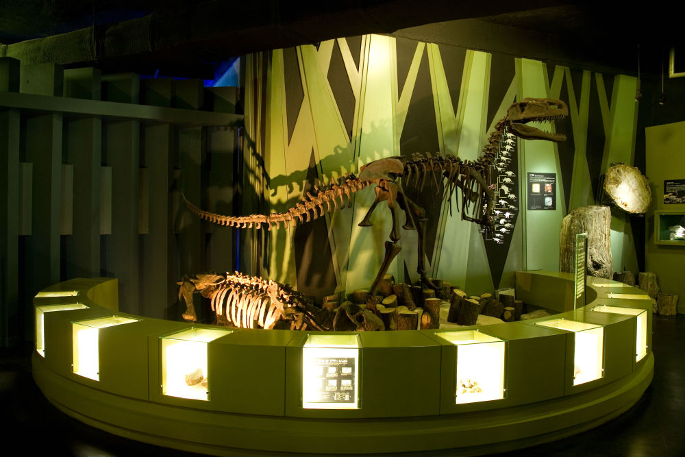 지난 2003년 문을 연 우석헌자연사박물관은 지구환경을 이해하고, 지구와 인류의 미래에 대한 창조적 비전을 살펴볼 수 있는 곳이다. 