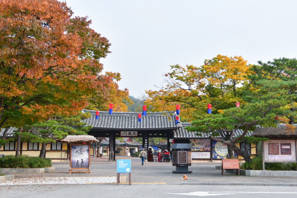 [경기도민기자단] 용인 한국민속촌에서 만끽하는 만추…경기지역화폐... 경기도뉴스포털 [경기도민기자단] 용인 한국민속촌에서 만끽하는 만추…