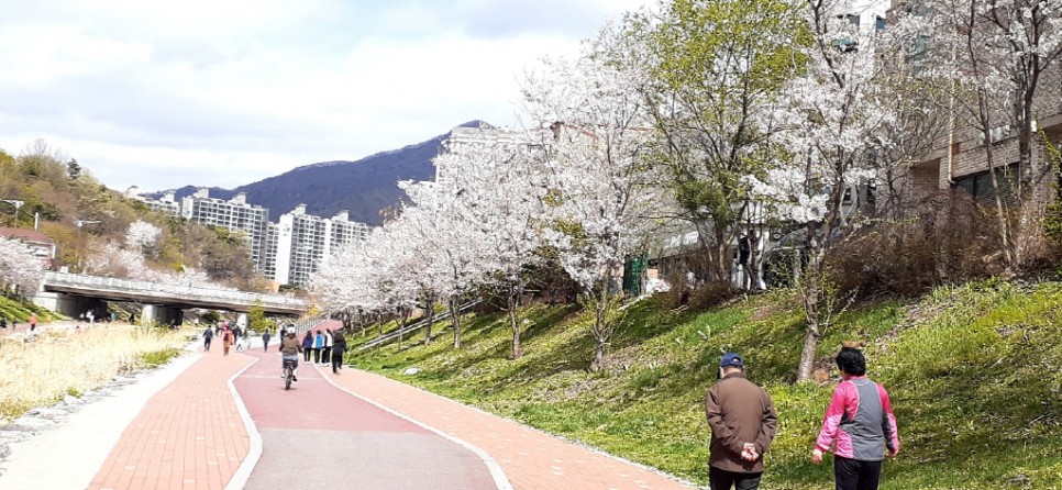 봄을 맞이한 호만천의 아름다운 봄 풍경