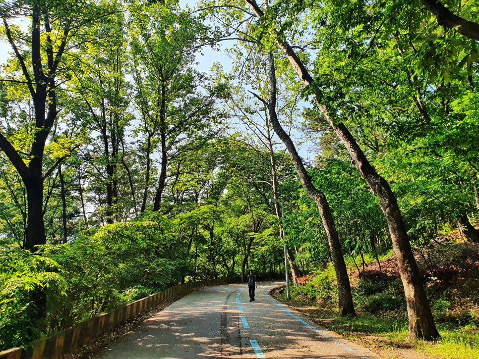 [경기도민기자단] 동물원, 미술관, 숲 속 산책! 한 번에 해결하자 `과천 서울대공원`