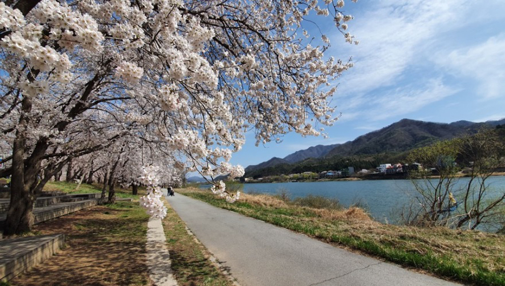 대성리역 인근에는 대성리국민관광지가 있다. 이곳은 봄에는 벚꽃이 활짝 펴 장관을 이루는 최고의 가평산책로 중 한 곳이다. 