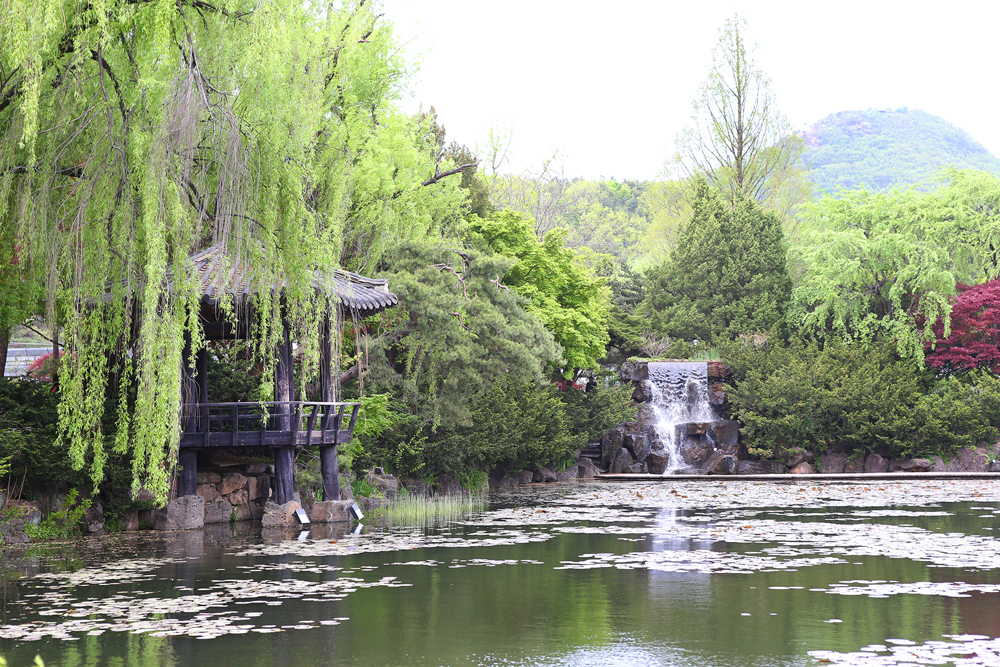 ‘감동의 공간’은 벽초지 수목원의 하이라이트로 물과 나무, 교각, 정자 등이 자리하고 있는 연못 정원이다.