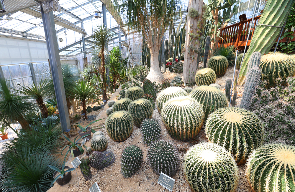 용인 한택식물원은 1만여 종의 식물이 식재되어있는 식물원으로 총 36개의 테마정원으로 구성돼있다.