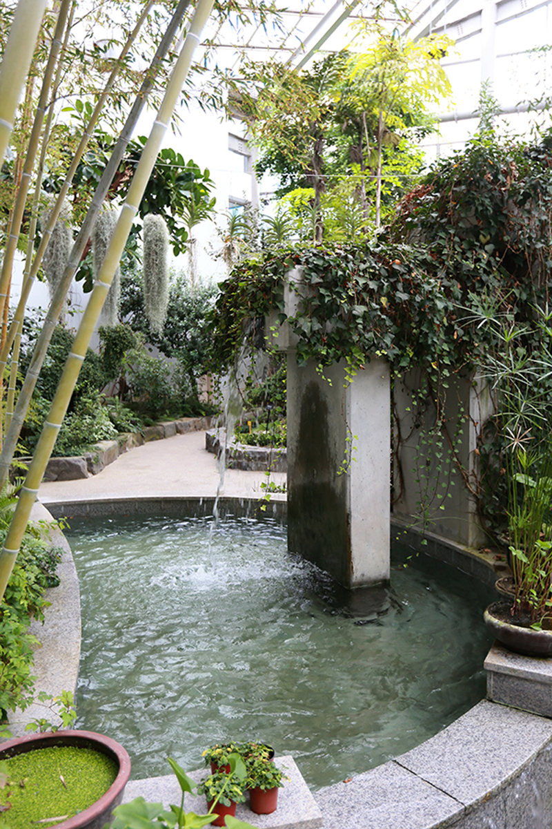 부천 자연생태공원 내 자리하고 있는 부천식물원은 2006년에 개장한 곳으로 5개의 테마관과 2개의 식물체험관 등이 있다.