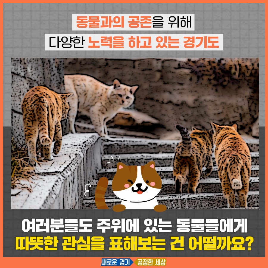 경기도는 주변 동물에 대한 따뜻한 관심을 당부했다.