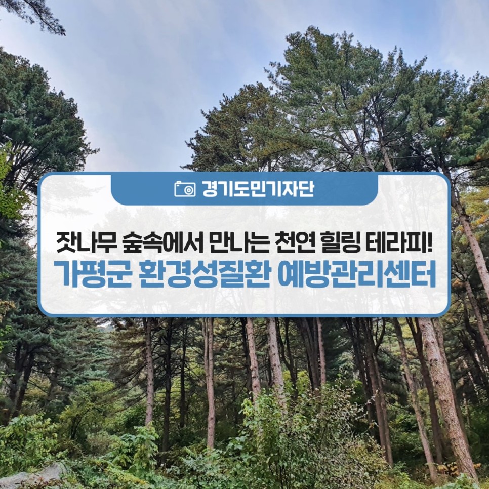 [경기도민기자단] 잣나무 숲속에서 만나는 천연 힐링 테라피! 가평군 환경성질환 예방관리센터